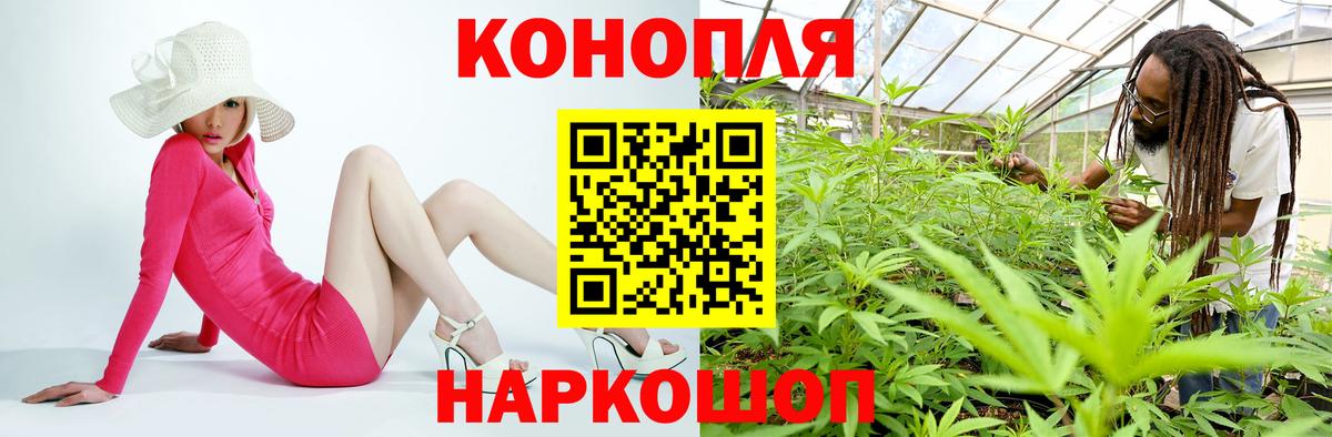 Бошки Шишки план  Вход с VPN  Шишки марихуана ГИДРОПОН  Каннабис White Widow  Ялуторовск  Конопля план 